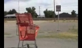 Shopping Cart up the Ass