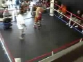 Muay Thai Kick To The Face