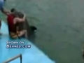 Horny dolphin takes advantage of some guy