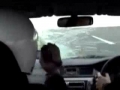 Seagull smacks into a car going 180 mph
